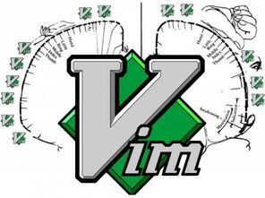 数字文化创意内容应用服务如何重塑 Vim 用户的大脑结构